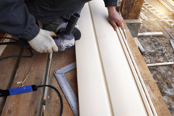 Best Aluminum Siding Installation  in Raceland, KY